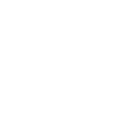 The University of Alabama at Birmingham